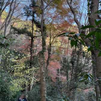 3号路から下ります。