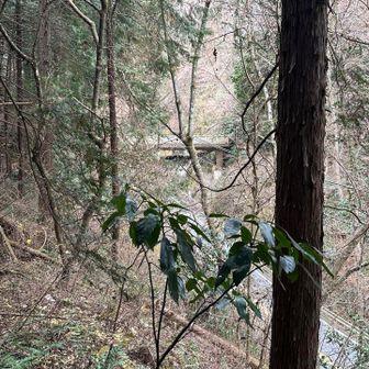 大垂水の陸橋が見えました！