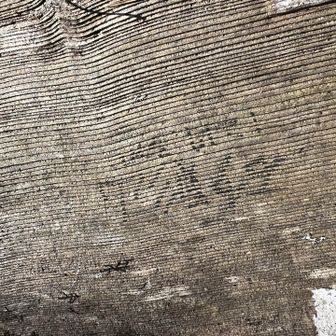 書いてありました😂