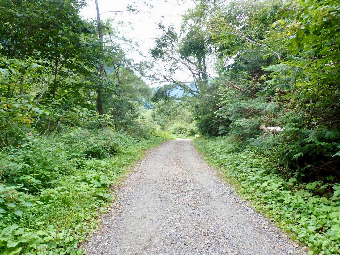 平坦、幸せ