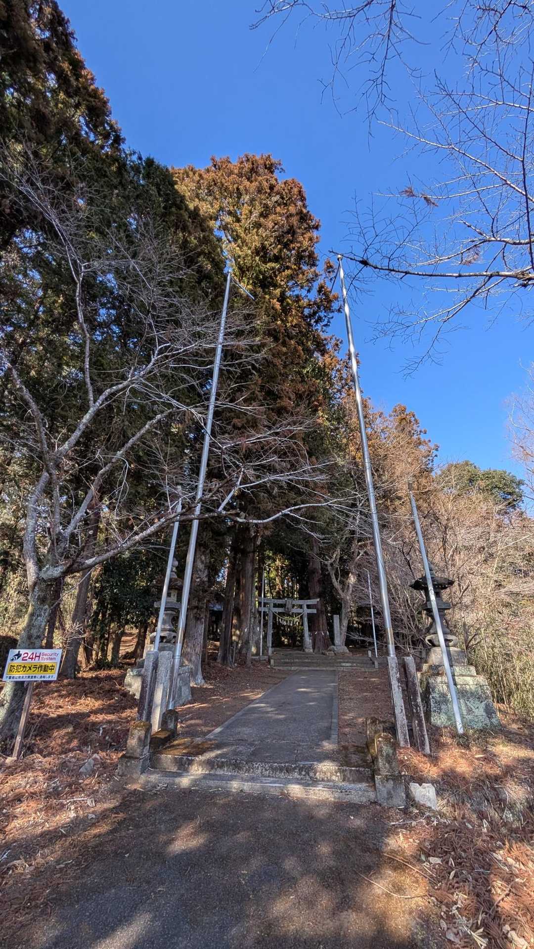 折角なので鹿嶋神社⛩️へ