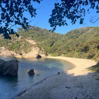 またまた海岸へ出てきた