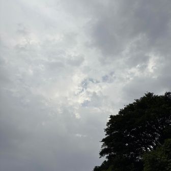 しばらく雨宿りです