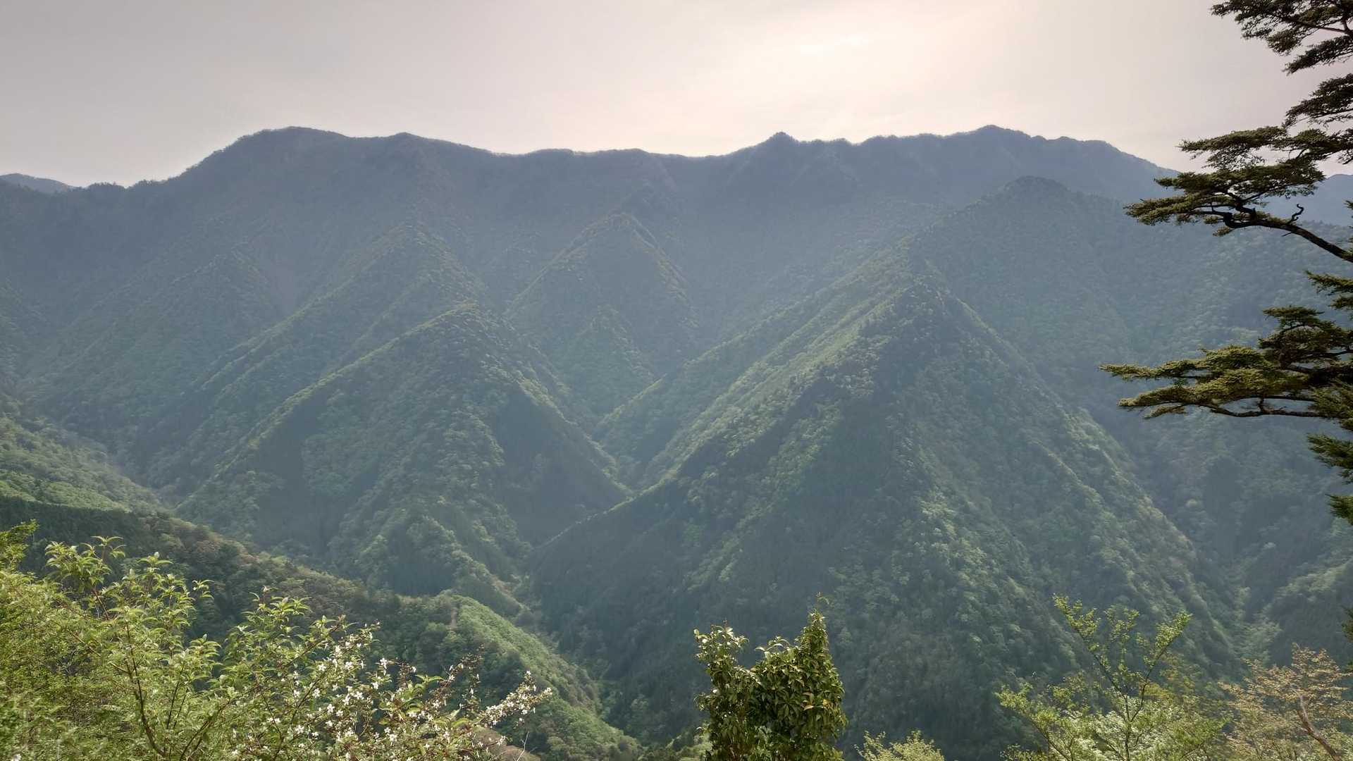 昨日登った稜線が素晴らしいです。
右の凸が「岩岳山」、真ん中右の凸が「岩嶽神社」、左端の凸が「竜馬ヶ岳」です。