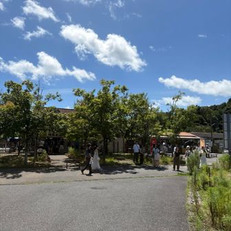 養老渓谷駅に戻ると人だかりが…、
年齢層も若め、山には登らなそうな出で立ち、