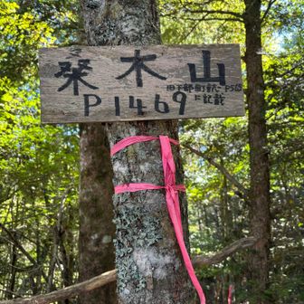YAMAP上のマークとズレているピーク
桑木山