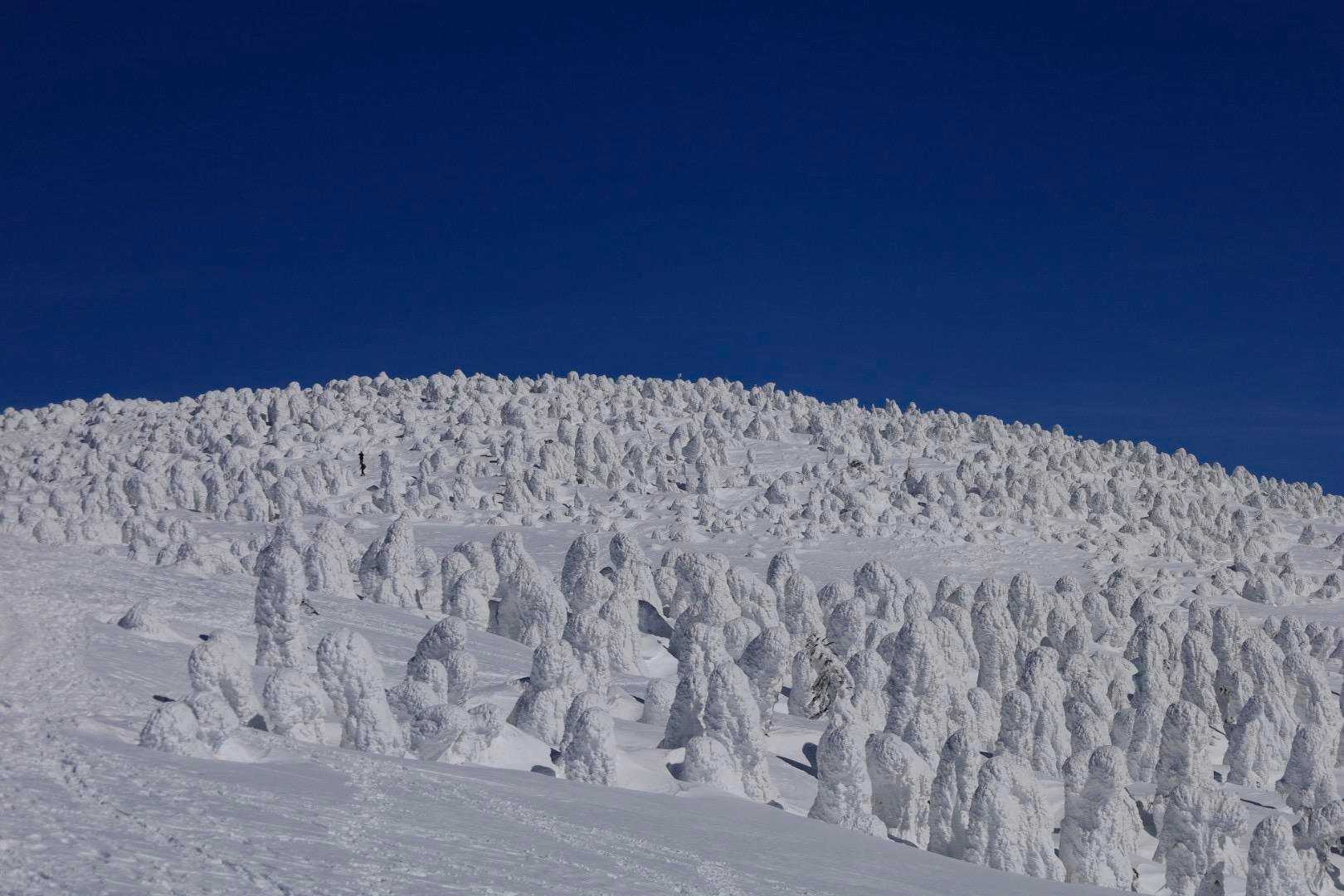 西大巓 往復コースの写真