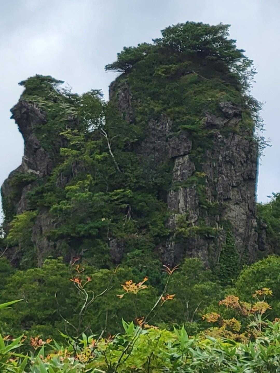 風情があります
