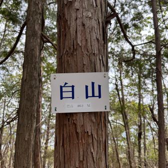 行きには見つけれなかった白山の標識