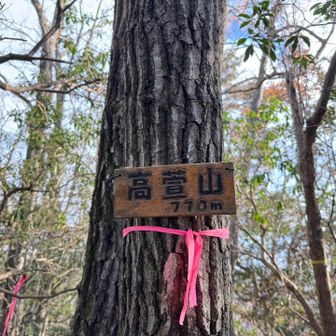 　高萱山（たかかややま、770m）
　グレーピーク、縦走路から少し離れた寂峰。