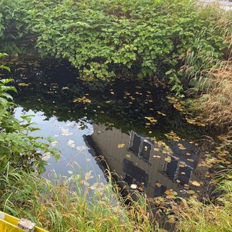 冷池山荘の隣にある池
これが冷池なのかな？