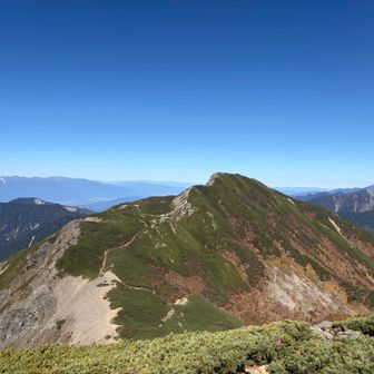 大沢岳は中盛丸山からみると優しい山容です