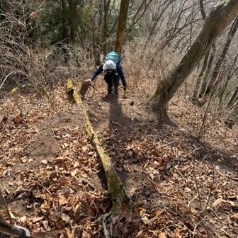 全国一億一千万人の四つん這いファンの皆様〜❣️