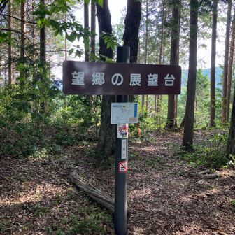 コース内に2つあるピークのうちの1つ展望台
