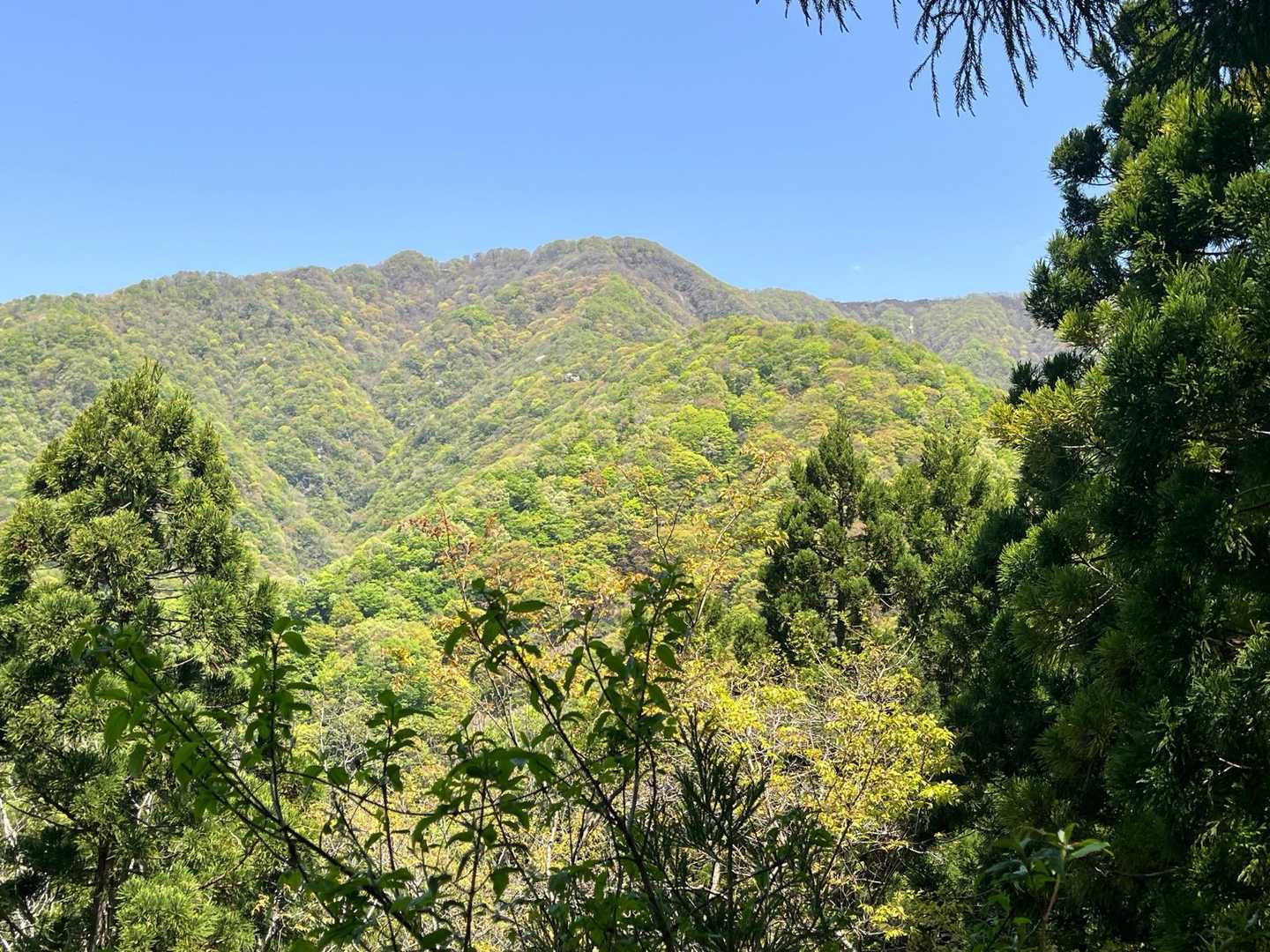 綺麗な山