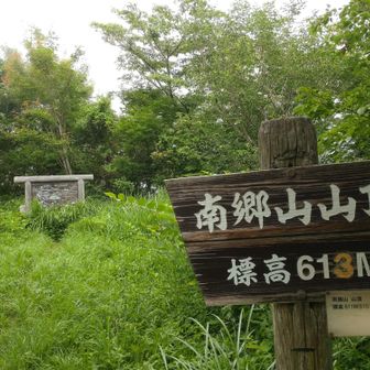 南郷山
こちらも二度目まして。
二度目まして…でもアプリが無いとわかりづらい(間違える)。
3月に来た時とは違い、草ボウボウ。草とガスで眺望無し。
無理やり通り抜けて、折り畳み傘を落としたらしい(泣)
