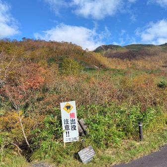 入山。今日はヒグマ不要です