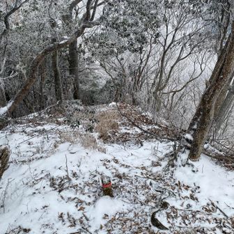 あら、かなり下る