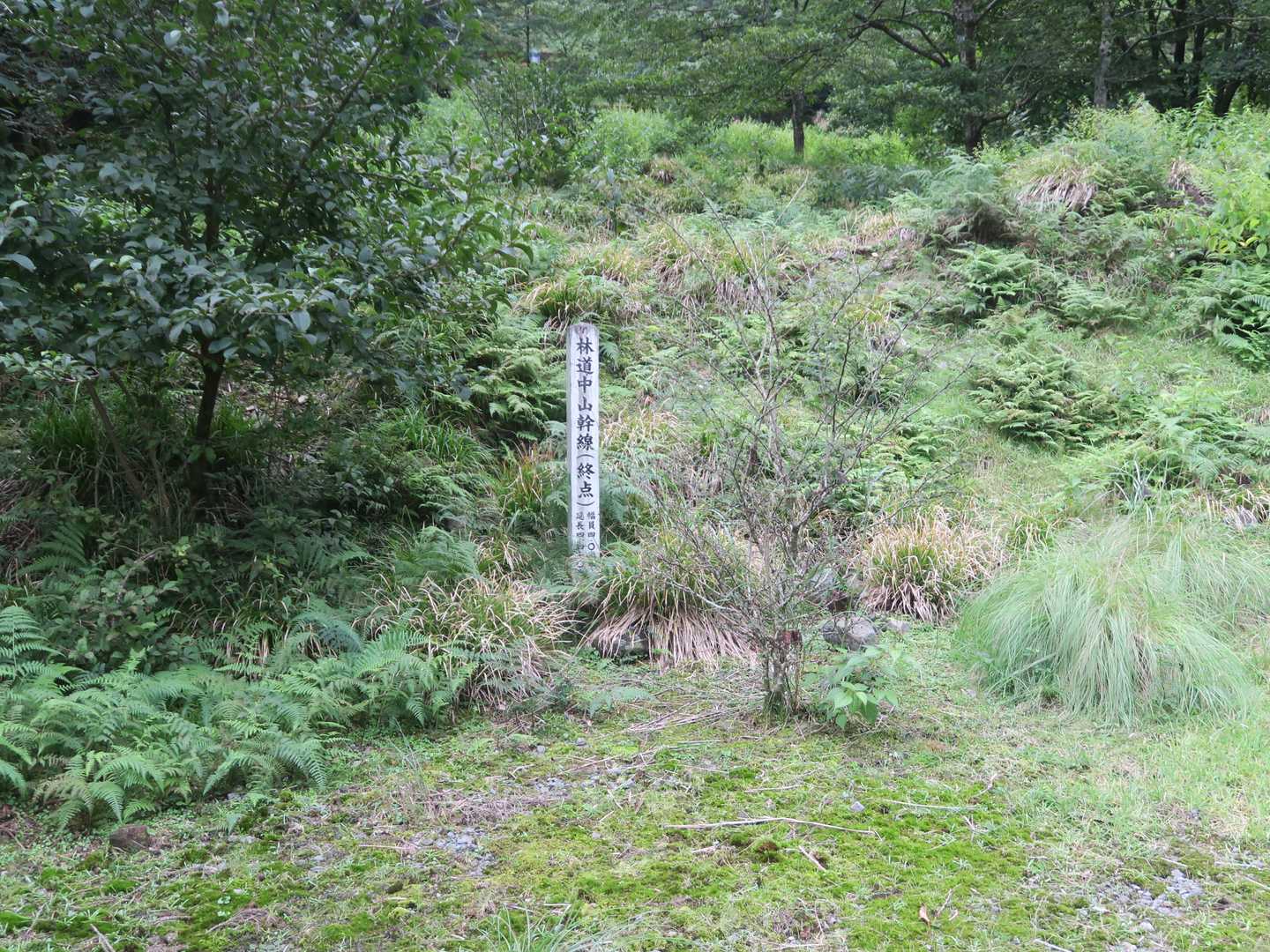 中山林道終点へ上がった。