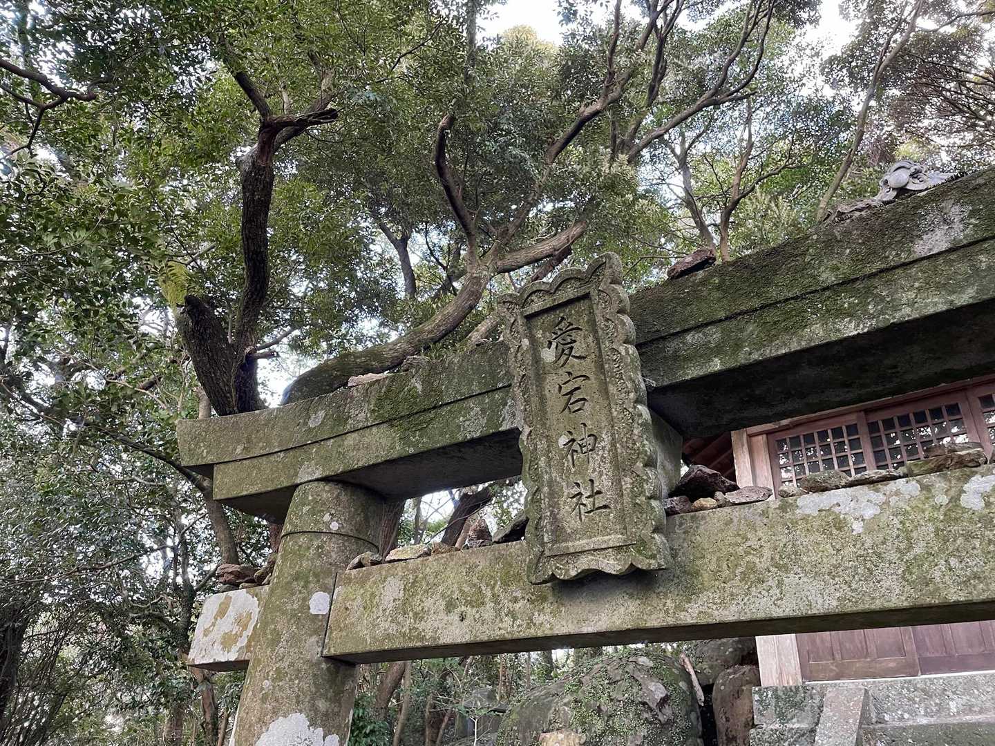 こちら側が愛宕神社です。