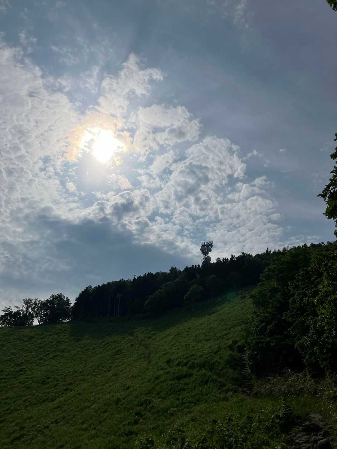ここの景色が1番お気に入りです