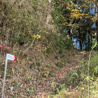 下りてきました。