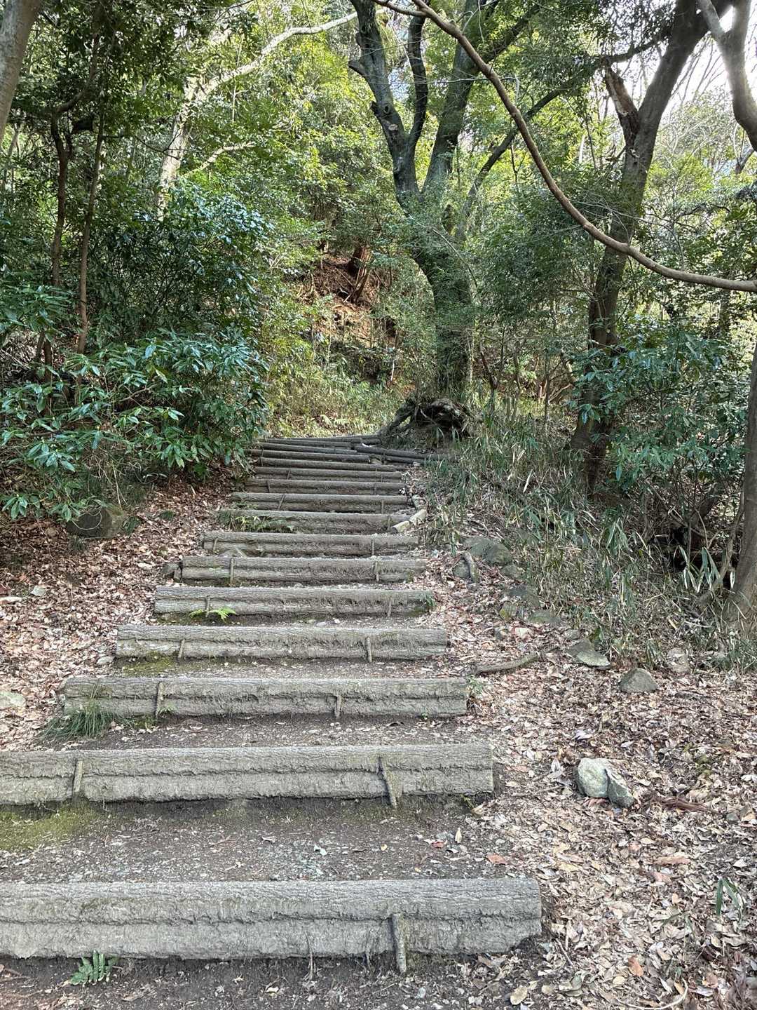 この辺りまでがキツイ、、！