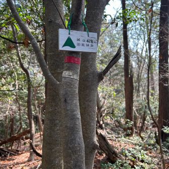 主郭にはプレートが有りました。