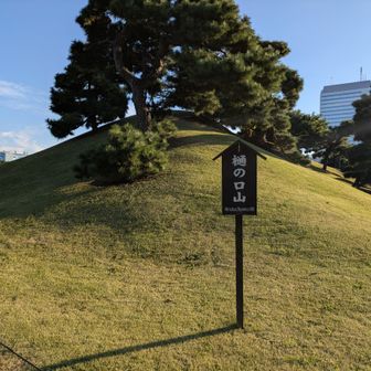 樋の口山の上から