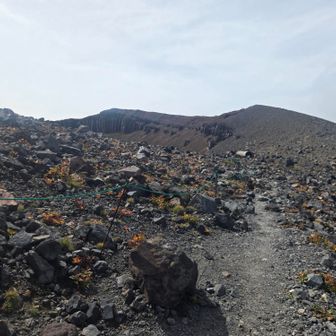 高曇りで耐えてくれている前掛山山頂。