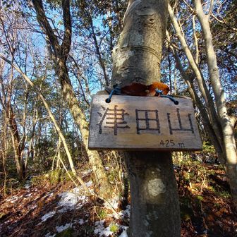 奥島山(津田山)👌山頂425mに到着。この後ピストンで下山😸白王山へ向かいました😃続編をご覧下さい。