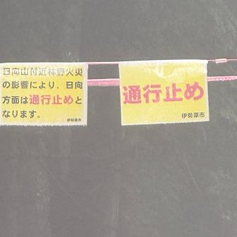 そういえば山火事あったっけ