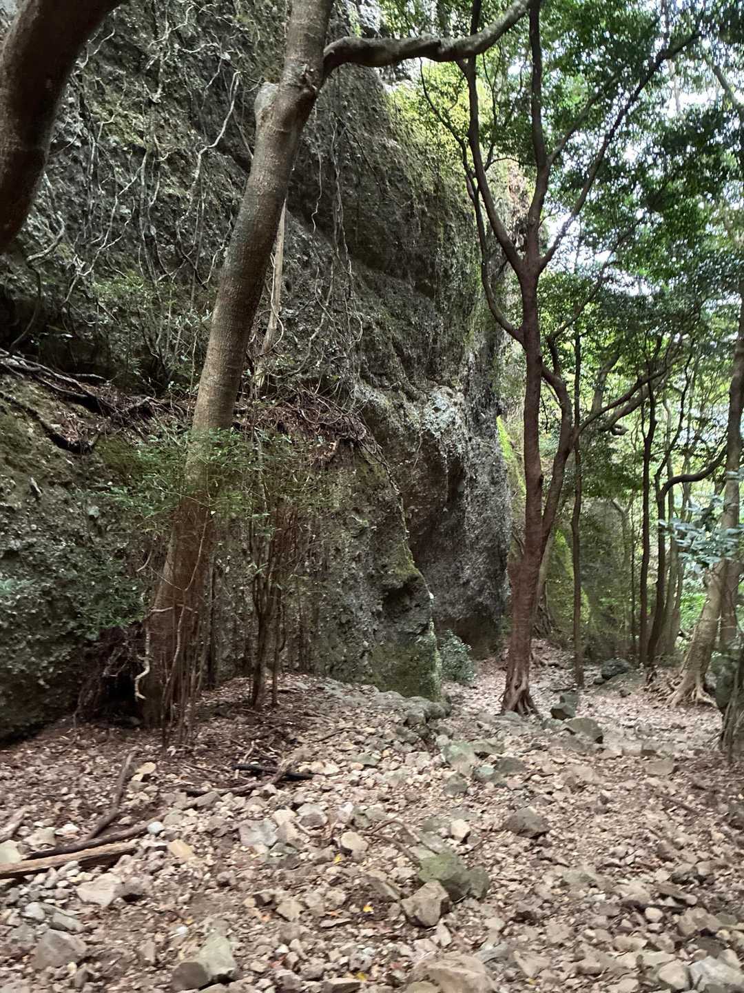 最強低山の呼び声高い、スリル満点の黒髪山定番コースの写真