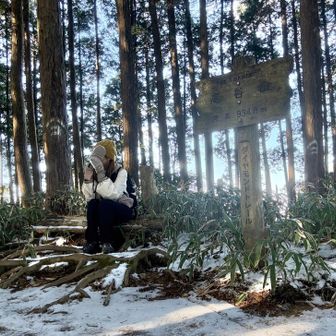 雪で遊びたいけど
硬いです❄️