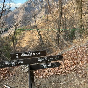 タルワキ沢の分岐まで、もう少し。