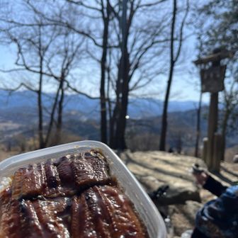 宝登山山頂に到着。ここまでに休憩は1度しかとらなかった。いやー。楽勝ですよ！