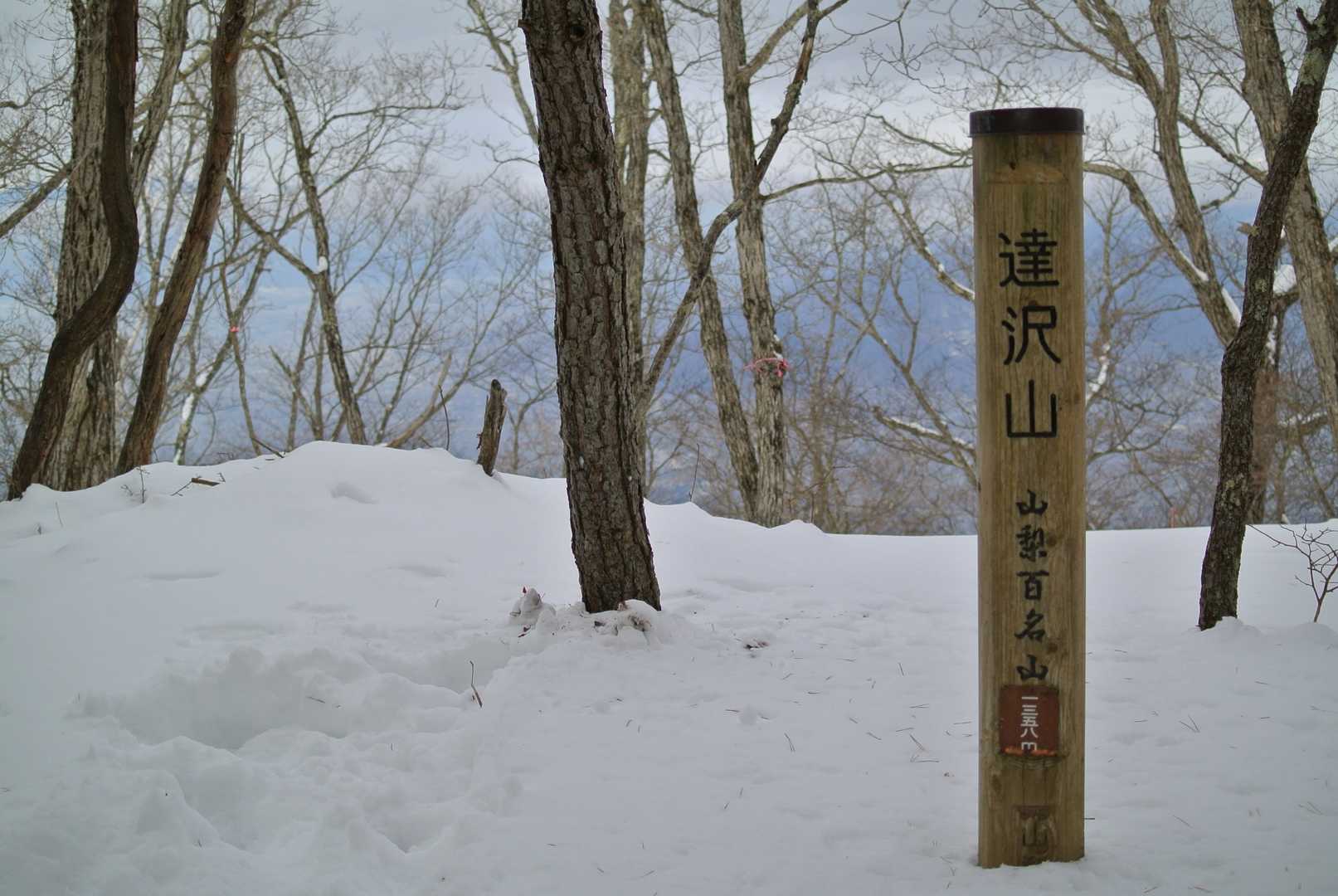 山梨百名山⛰
達沢山