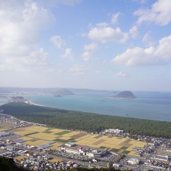 展望台から松原を一望