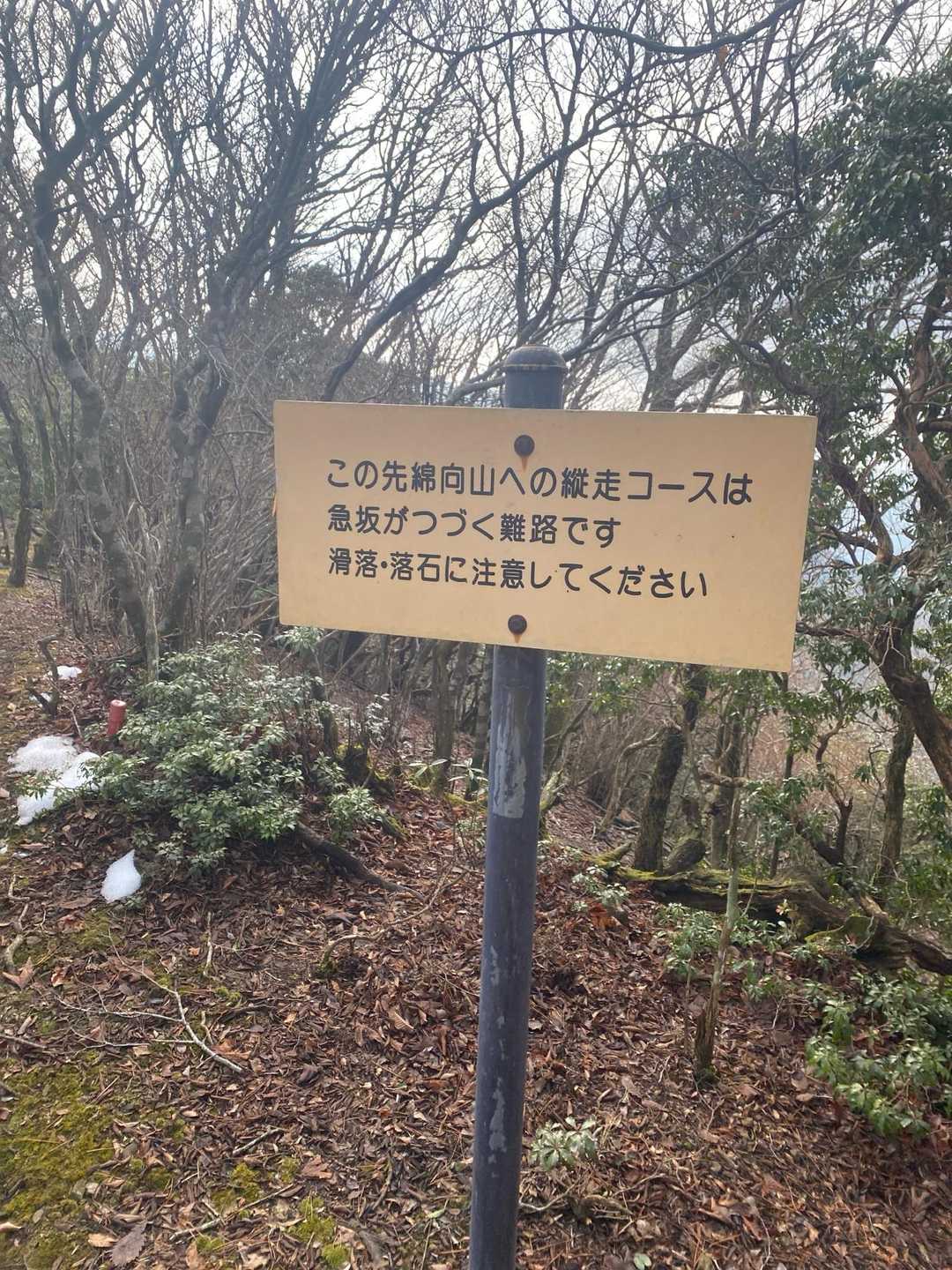 竜王山経由は急登ってレポが多く、最初から途中で引き返すつもりで登ってるので、行けるとこまで行ってみることに😊