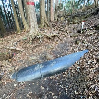 この黒いのが意外と滑って危なかったです😓