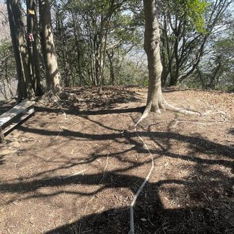 夏場は木影もあり、風がよく通るので涼しいとのこと