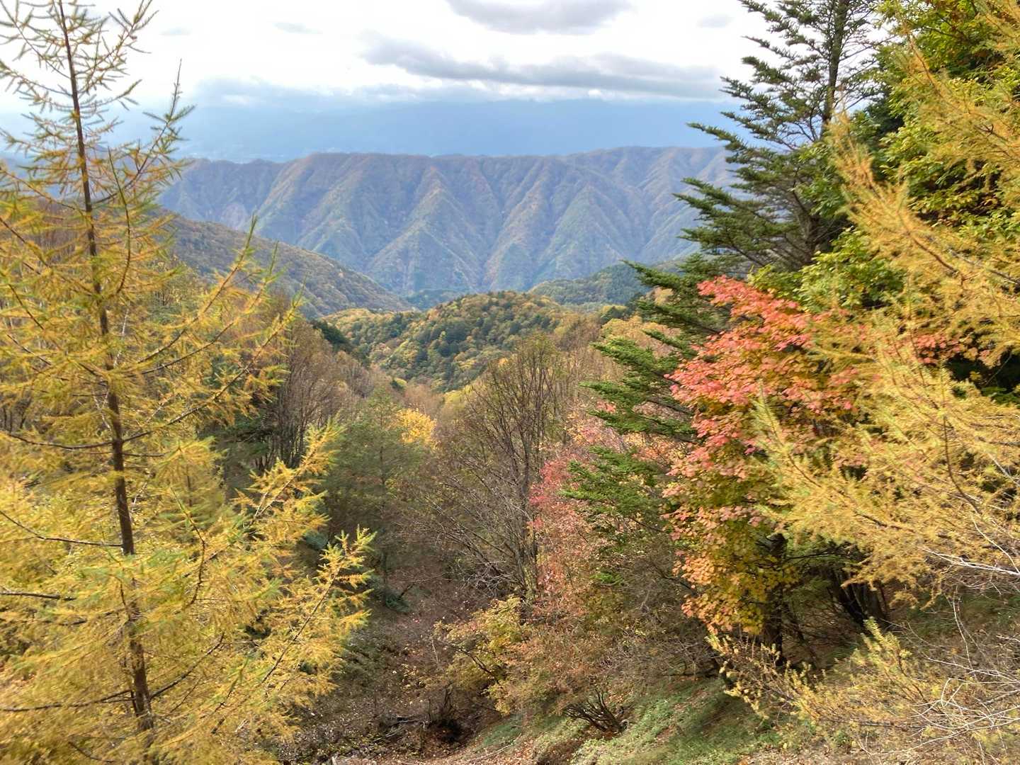 紅葉も綺麗でした✨