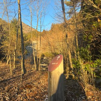 ここまでが山道