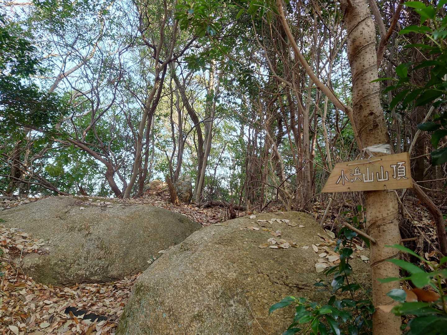 赤崎神社-小浜山登山入口-小浜山 往復コースの写真