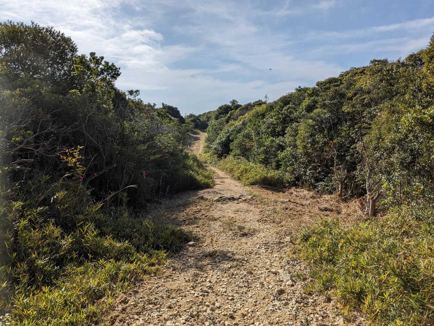 雄鷹台山登山口-雄鷹台山-高山-後山 往復コースの写真