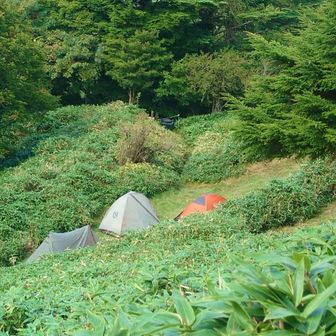 駅の下に 野営テント場 ⛺️      無料って すごいね

やってみたいー！ということで
今度  テン泊デビューすることに決めました 
カラー選びが 楽しみになりそうです 

そして 次に ここに来る時は テント張って
🌙🌟🌅 満喫しちゃいますよ〜 ♪♪