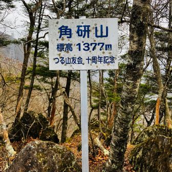 都留市の見慣れたやつ