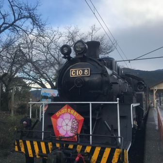 あすぱらちゃん