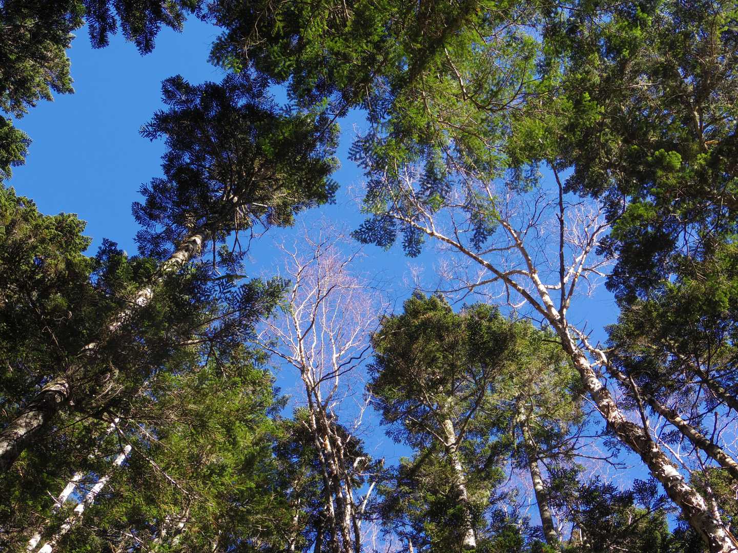 青空💙