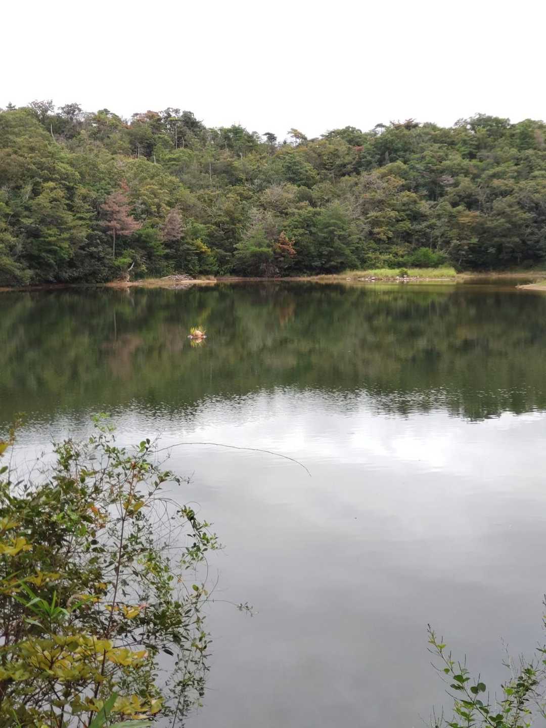 百丈岩-静ヶ池 周回コースの写真